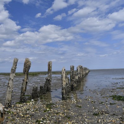 Nordsee bei Ebbe